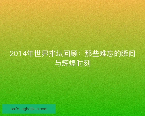 2014年世界排坛回顾：那些难忘的瞬间与辉煌时刻